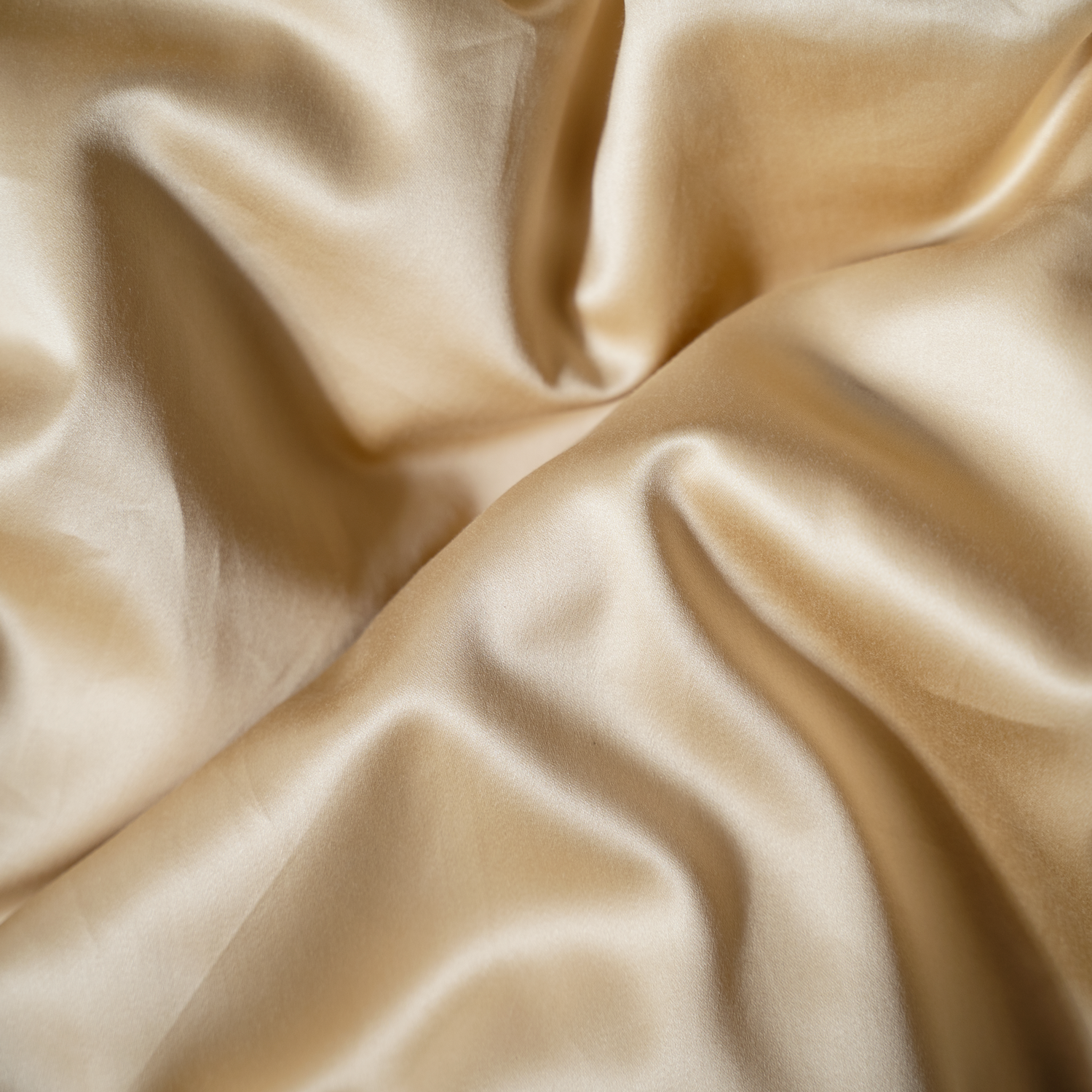 PREMIER 100% Supima® Cotton